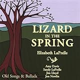 Lizard in the Spring