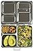 PlanetBox LAUNCH Eco-Friendly Stainless Steel Bento Lunch Box with 3 Compartments for Adults and Kids - Pink Carry Bag with Woodland Fairies Magnets