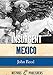 Insurgent Mexico