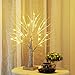 Bolylight LED Table Lamp Birch Money Tree Holder Night Light Centerpieces Great Decoration for Home/Christmas/Party/Festival/Wedding, 1.5ft Silver