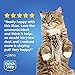 Fresh Step Odor Shield Scented Litter with The Power of Febreze, Clumping Cat Litter, 38 lb