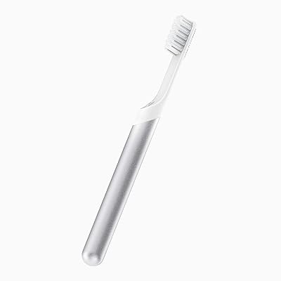 Quip Metal Electric Toothbrush - Electric Brush and Travel Cover Mount (Silver Metal) (bulk packaging)