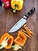 ZWILLING Pro 6