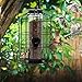 FORUP Caged Tube Feeder, Squirrel Proof Wild Bird Feeder, Outdoor Birdfeeder with Large Metal Seed Guard Deterrent for Large Birds