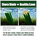 Poulan 42-Inch High Lift Lawn Mower Blade (2 Pack) PP24004