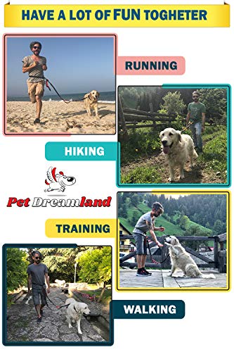 Pet Dreamland Running Dog Leash for Small Dogs - Walking Hiking Training - Extra Long Bungee Dog Lead - Reflective Leashes for Small Dogs (Grey & Pink)