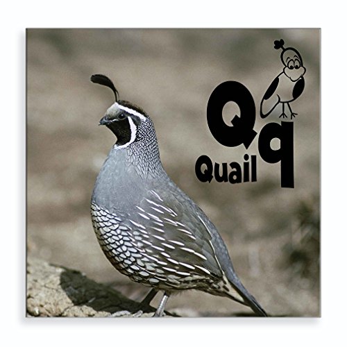 Best quail metal wall art to buy in 2019 | EZ Reviews