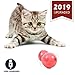 YOFUN Smart Interactive Cat Toy - Upgraded 360 Degree Self Rotating Ball, USB Rechargeable Pet Toy, Build-in Spinning Led Light, Stimulate Hunting Instinct for Your Kitty (Pink)