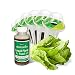 AeroGarden Mixed Romaine Lettuce Seed Pod Kit