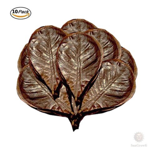 Great addition to a better tank.