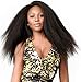 Chantiche Italian Yaki Glueless Full Lace Wig with Baby Hair for Black Women Kinky Straight Brazilian Remy Human Hair Wigs Preplucked Human Lace Wigs 130 Density 14 Inches Natural Color