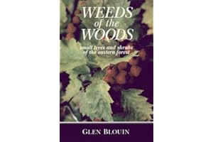 Weeds of the Woods: Small Trees and Shrubs of the Eastern Forest