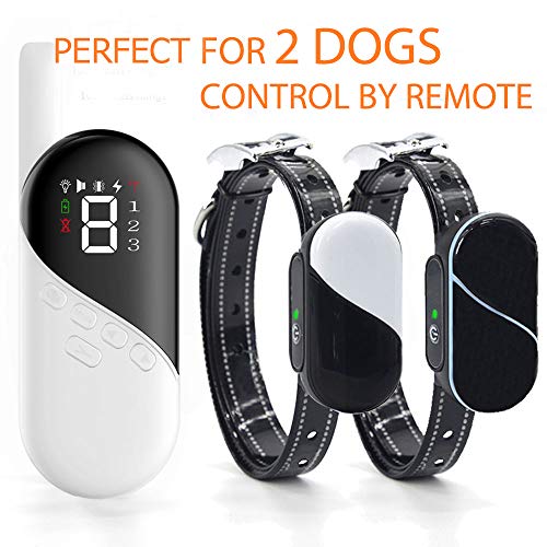 Pumila 2 Dogs Training Collar – Rechargeable Dog Shock Collar with Beep, Vibration and Shock Modes for Pet Behavior Training, Bark Collars for Small, Medium, Large Dogs