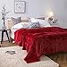 Luxury Collection Microplush Flannel Fleece Blanket | Ultra Soft 380 GSM Lightweight All-Season Anti-Static Throw/Blanket for Sofa Couch Bed (Throw (50'' x 60''), Burgundy)