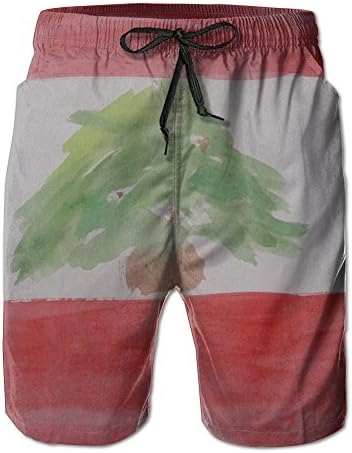Drawn Flag of Lebanon Men's/Boys Printing Summer Casual Beach Shorts Surfing Pants Quick Dry Trunks Swimwear Elastic Waist Pockets