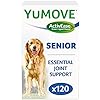 Lintbells-YuMOVE-Senior-Dog-Higher-Strength-Hip-and-Joint-Supplement-Formulation-Designed-for-Older-Dogs-Aged-8-120-Tablets YuMOVE Senior Dog | High Strength Joint Supplement for Older, Stiff Dogs with Glucosamine, Chondroitin, Green Lipped…
