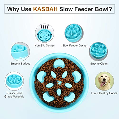 KASBAH Slow Feeder Dog Bowl, Anti-Gulping Dog Food Bowls Non-Toxic Eco Friendly Maze Dog Bowl for Small/Medium Dogs, Blue