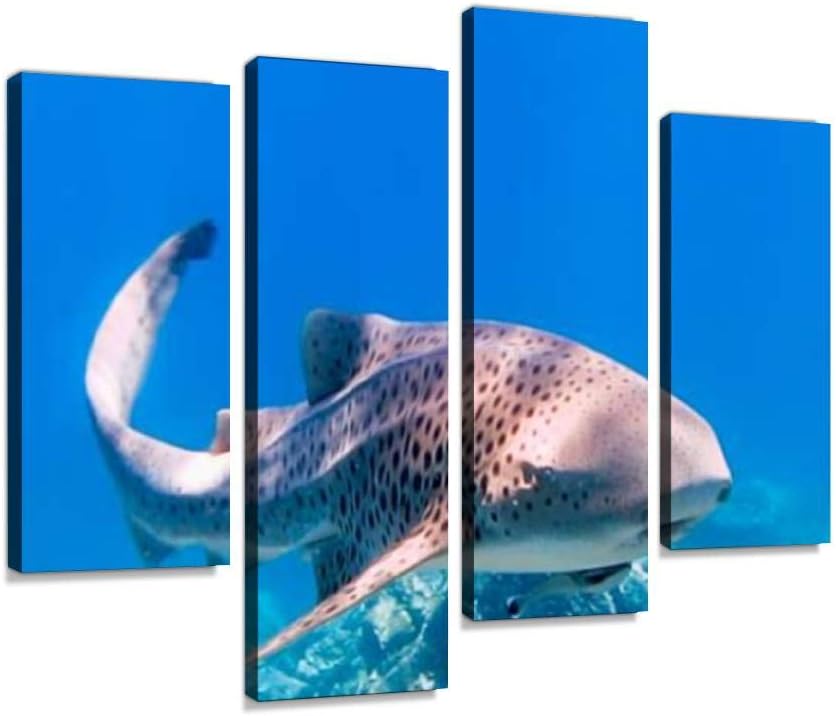 HIPOLOTUS 4 Panel Canvas Pictures Rare Close up Encounter with Endangered Species Zebra Leopard Shark Wall Art Prints Paintings Stretched & Framed Poster Home Living Room Decoration Ready to Hang