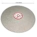 Rannb Flat Lap Wheel 180 Grit 8-inch Outer Dia Diamond Coated Sanding Polishing Disc