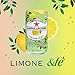 Sanpellegrino Limone &te Sparkling Organic Juice & Tea Beverage Blend 8.45 fl oz. (24 Pack)
