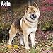 Akita Calendar - Dog Breed Calendars - 2019 - 2020 Wall Calendars - 16 Month by Avonside (Multilingu by