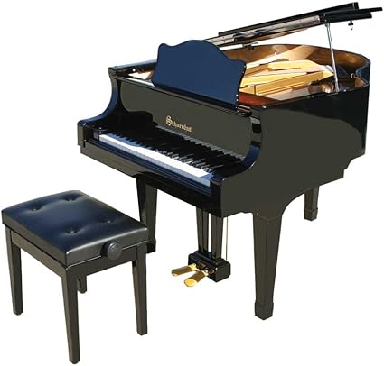 Schoenhut 49 key piano Clearance