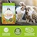 sWheat Scoop Natural Wheat Multi-Cat Litter, Superior Clumping with Odor Neutralizing Enzymes, 25 Pound Bag