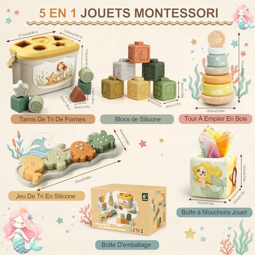 Anook Montessori Toys 6 Months, 5 in 1 Games Early Learning Baby 6-12 Months with Baby Cube, Baby Shape Game, Tissue Box, Montessori Games 6-24 Months for Baby Girl Gift