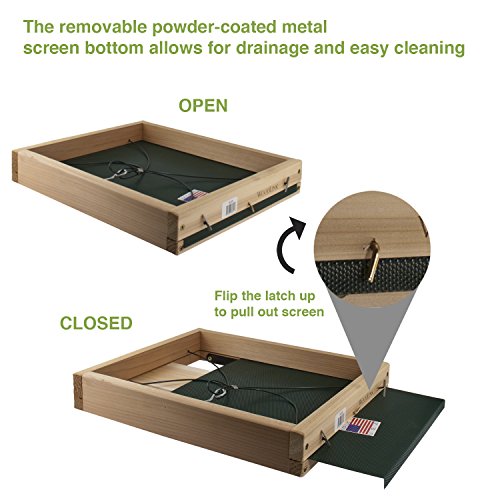 Woodlink 3 in 1 Platform Bird Feeder