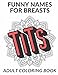 Funny Names For Breasts Adult Coloring Book: Obscene Vulgar and Hilarious Color Book that Highlights the Many Different Names for Female Boobs Tits and Tatas by FunnyReign Publishing