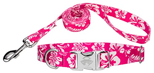 Country Brook Design | Pink Hawaiian Premium Dog Collar & Leash - Large