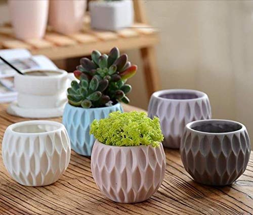 Nicole Flower Pot Molds Cement Planter Garden Bonsai Decoration Tools