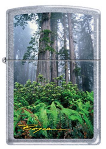 California Redwood Trees Chrome Zippo Lighter Artist Boyce