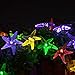 LUCKLED Starfish Solar String Lights,20ft 30 LED Halloween Christmas LED Fairy String Lights for Outdoor,Home,Lawn,Garden,Wedding,Patio,Party,Halloween and Holiday Decorations [Multi-Color]