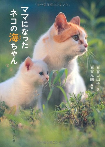 い 3 1 ママになったネコの海ちゃん ポプラ文庫 岩合 日出子 光昭 岩合 本 通販 Amazon