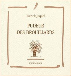 Pudeur des brouillards