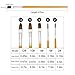 MZD8391 5PC Nylon Hair Wooden Art Paint Brush Set for Artist, Watercolor, Acrylics, Oil, Body, Nail, Face Painting