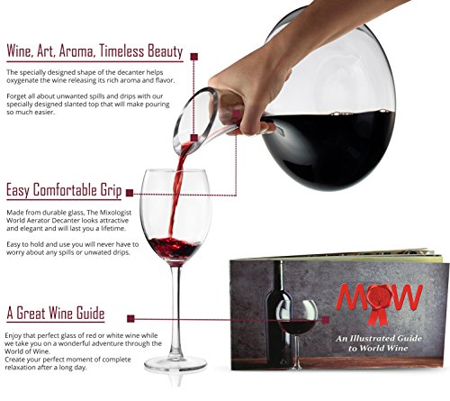 2 Wine+Decanter+Aerator+Set+Accessories