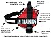 Service Dog in Training Vest - Adjustable No Pull Dog Harness with Patches. in Training Dog Vest for Service Dogs Small, Medium and Large Easy On/Off Dog in Training Harness for Service Dog Training