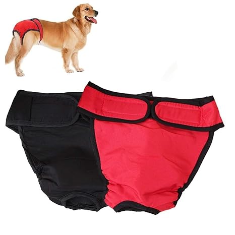 Gshy 2pcs Wiederverwendbare Weibliche Hund Physiologische Unterwäche Hygieneeinlagen Hundeschutzhose Sanitär Windel Haustier 