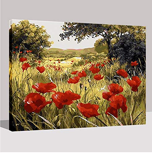 Tableau De Photos De Champ De Fleurs De Pavot Rouge Peinture