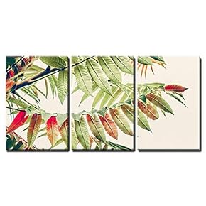 Beautiful Green Red Leaves Tropical Leaves on Light...