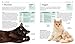 The Cat Selector: How to Choose the Right Cat for You