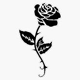 Black Rose Vinyl Waterproof Sticker Decal Car Laptop Wall Window Bumper Sticker 5