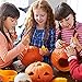 Halloween Pumpkin Carving Kit Tools Premium 4 Piece Stainless Steel Pumpkin Carving Knives Set (Scoop,Poker,Saws,Etching tool)