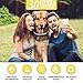 Calming Collars for Dogs- 30 Days Protection for Dogs of All Sizes- Adjustable Reduce Anxiety Collar, Long Lasting Calming Effect 100% No Allergy 100% Waterproof Natural Calm Dog Collarsthumb 3