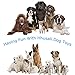 Hhusali Dog Toys 10 Pack Gift Set, Ball Rope and Chew Squeaky Toys for Medium to Small Doggie