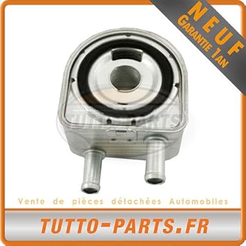 Radiador Enfriador de aceite Citroen Fiat Peugeot Suzuki: Amazon.es: Coche y moto