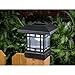 Westinghouse Solar 20 Lumens 4x4 Post Light for Wood Posts (Black, 2 Pack