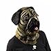 Accoutrements Pug Mask